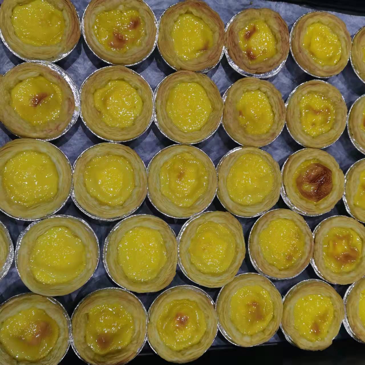 意昂娱乐(中国)体育有限公司官网