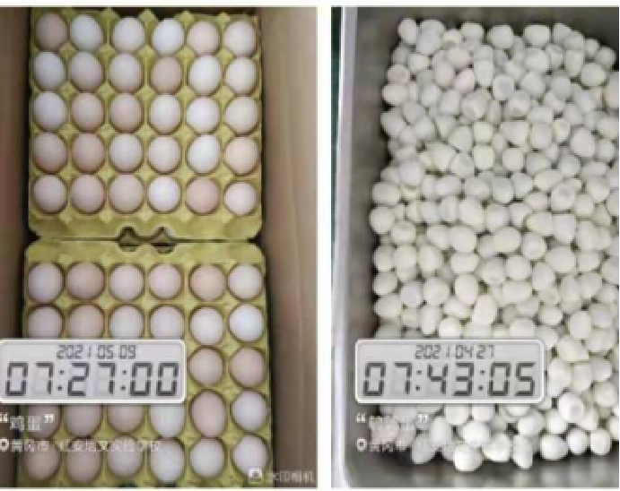 意昂娱乐(中国)体育有限公司官网