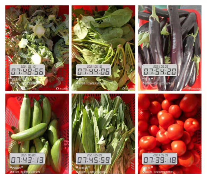 意昂娱乐(中国)体育有限公司官网